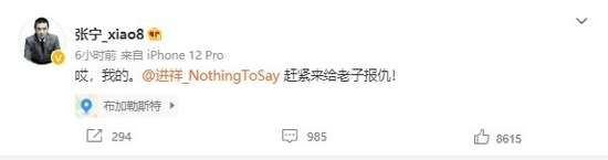 杨玉环装备与铭文选择分析，辅助角色的崛起